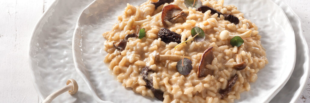 Mushroom risotto with truffle aroma