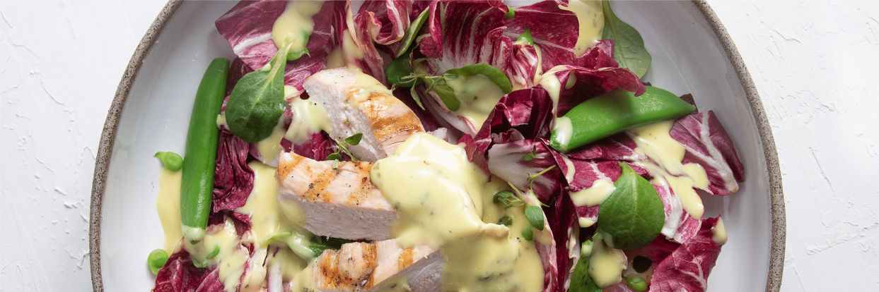 Provil - Radicchio Salad with Grilled Chicken